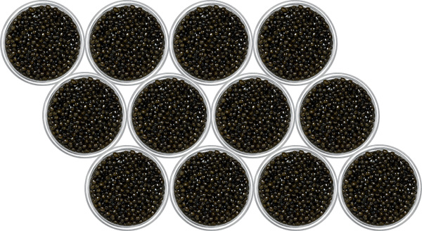 Beluga Kaviar Malossol 1356g